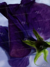 poster NO 14-711-4